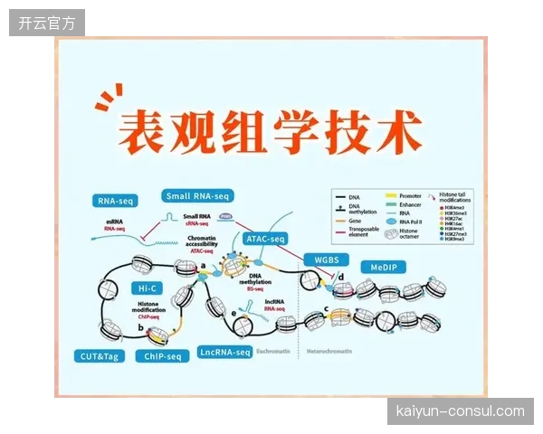 下一代技术的展望：表观遗传编辑技术，因其“可逆”且不触及DNA序列的特点，或将成为体育界更能接受的基因层面干预手段